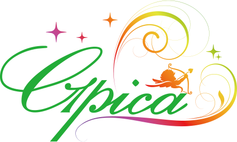Gpicaホールディング株式会社